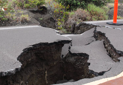 Terremoto in Turchia, cane salvato dopo 55 ore 